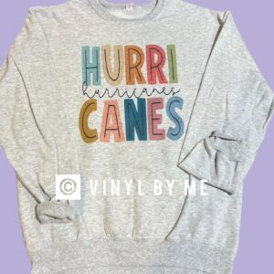 Ash gray Canes sweatshirt