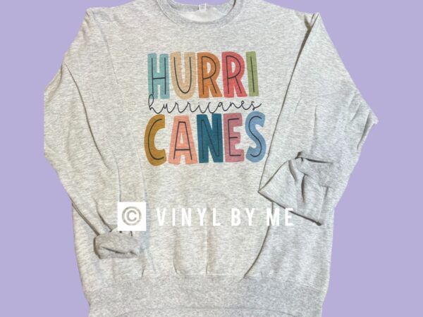 Ash gray Canes sweatshirt