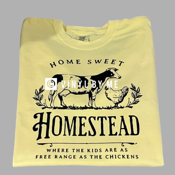 Home sweet homestead comfort color tee