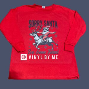Youth dear Santa longsleeve