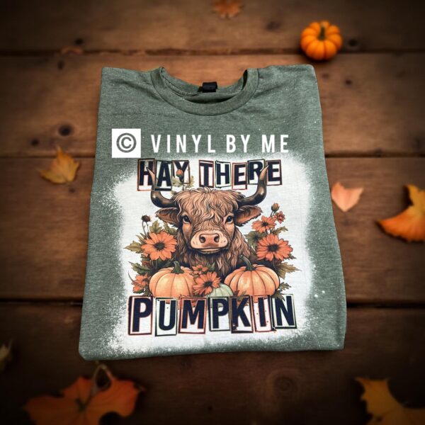 Hay there pumpkin green bleached tee