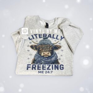 Ash gray literally freezing sweatshirt